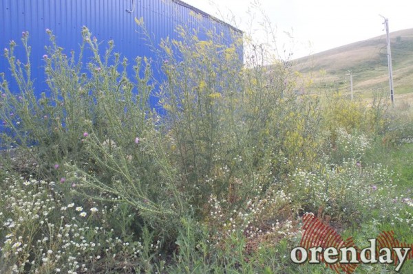 Горнолыжный курорт в Кувандыке: правда или действие