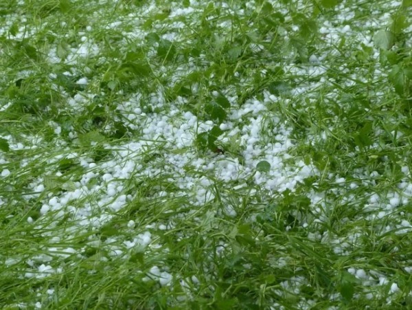 Новая неделя в Оренбуржье начнется с града и ливня