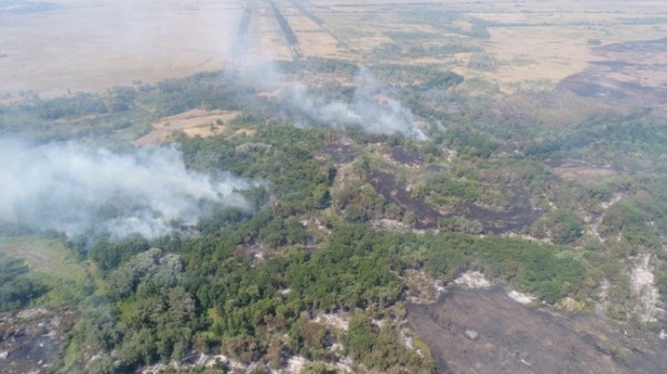 В Оренбуржье горят&nbsp;угодья двух лесничеств