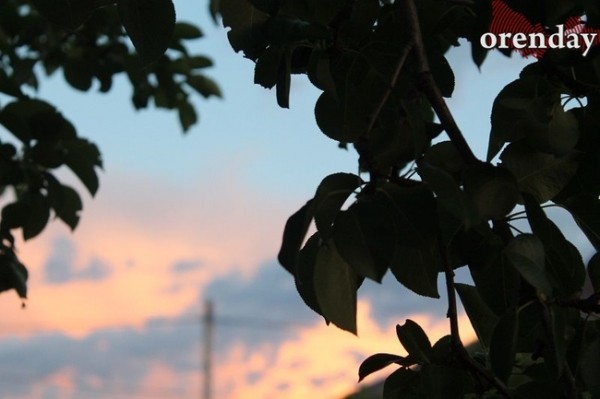 Синоптики рассказали, каким будет конец июля в Оренбуржье Синоптики рассказали, каким будет конец июля в Оренбуржье