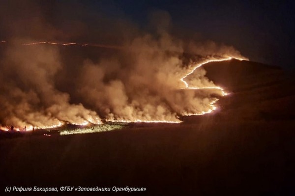Гроза, жара и огонь: Заповедник "Оренбургский" спасен от крупного пожара