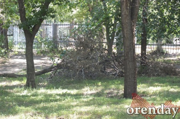 Администрация Оренбурга проиграла суд по парку имени 50-летия СССР Администрация Оренбурга проиграла суд по парку имени 50-летия СССР