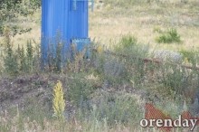 Горнолыжный курорт в Кувандыке: правда или действие