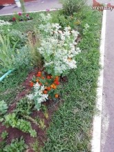 Оренбуржцы похвалились пенсионерами, которые меняют город Оренбуржцы похвалились пенсионерами, которые меняют город