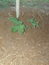 Оренбуржцы похвалились пенсионерами, которые меняют город Оренбуржцы похвалились пенсионерами, которые меняют город