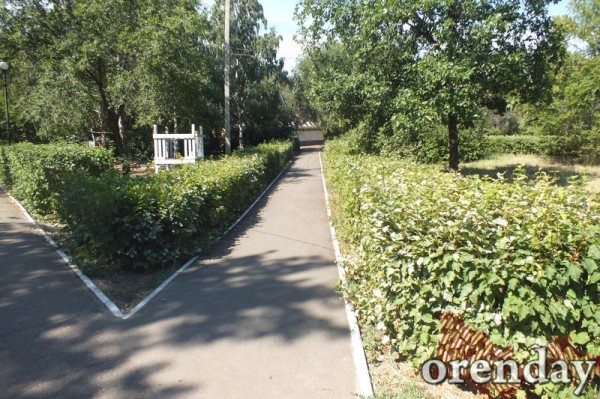 Администрация Оренбурга проиграла суд по парку имени 50-летия СССР Администрация Оренбурга проиграла суд по парку имени 50-летия СССР