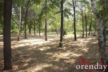 Администрация Оренбурга проиграла суд по парку имени 50-летия СССР