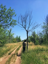 Оренбургские чиновники снова отправились в лес