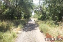 Администрация Оренбурга проиграла суд по парку имени 50-летия СССР Администрация Оренбурга проиграла суд по парку имени 50-летия СССР