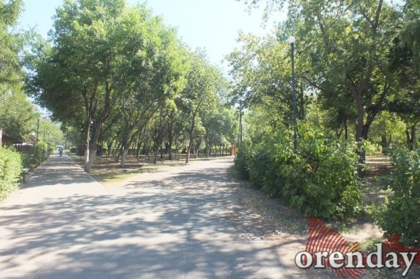 Администрация Оренбурга проиграла суд по парку имени 50-летия СССР