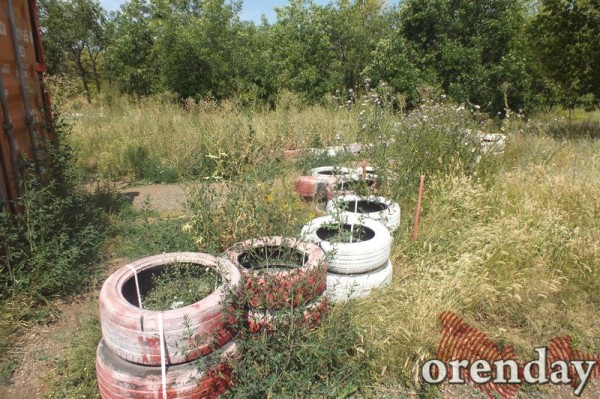 Администрация Оренбурга проиграла суд по парку имени 50-летия СССР Администрация Оренбурга проиграла суд по парку имени 50-летия СССР