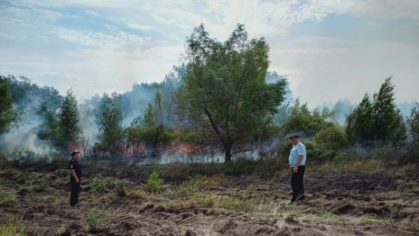 В&nbsp;Ташлинском районе из-за лесного пожара экстренно эвакуировали жителей двух сел
