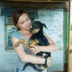 Приют для бездомных животных на 300 мест строится в Оренбурге