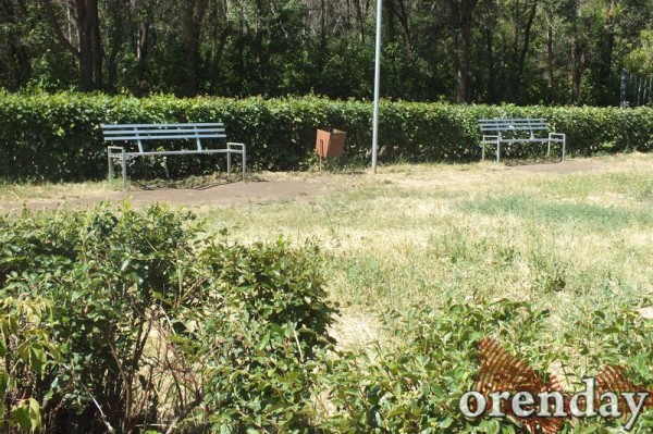 Администрация Оренбурга проиграла суд по парку имени 50-летия СССР Администрация Оренбурга проиграла суд по парку имени 50-летия СССР