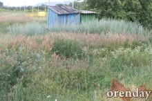 Горнолыжный курорт в Кувандыке: правда или действие