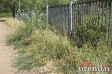 Администрация Оренбурга проиграла суд по парку имени 50-летия СССР