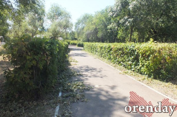 Администрация Оренбурга проиграла суд по парку имени 50-летия СССР Администрация Оренбурга проиграла суд по парку имени 50-летия СССР