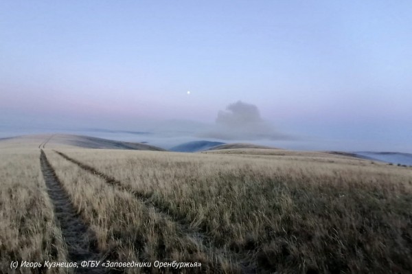Гроза, жара и огонь: Заповедник "Оренбургский" спасен от крупного пожара