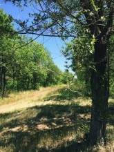 Оренбургские чиновники снова отправились в лес