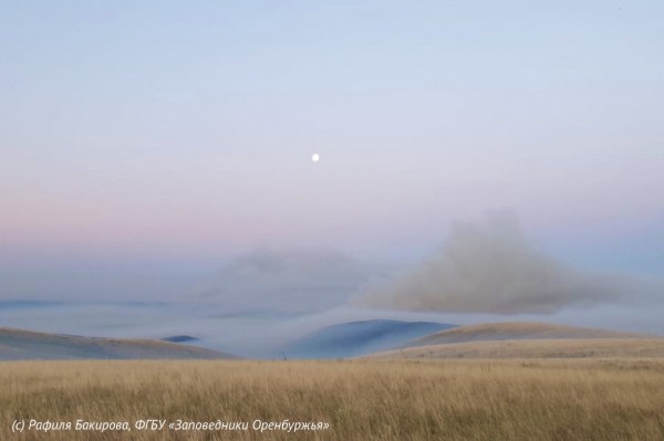 Гроза, жара и огонь: Заповедник "Оренбургский" спасен от крупного пожара