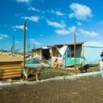 Приют для бездомных животных на 300 мест строится в Оренбурге