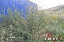 Горнолыжный курорт в Кувандыке: правда или действие