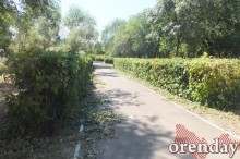 Администрация Оренбурга проиграла суд по парку имени 50-летия СССР Администрация Оренбурга проиграла суд по парку имени 50-летия СССР