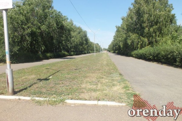 Администрация Оренбурга проиграла суд по парку имени 50-летия СССР Администрация Оренбурга проиграла суд по парку имени 50-летия СССР