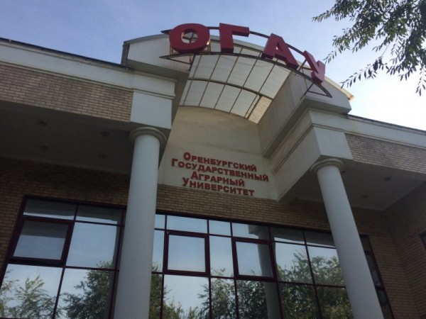 Оренбургский аграрный университет принял 3,3 тыс. заявлений от абитуриентов