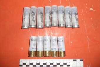 На границе с Казахстаном под Орском пытались провезти патроны На границе с Казахстаном под Орском пытались провезти патроны