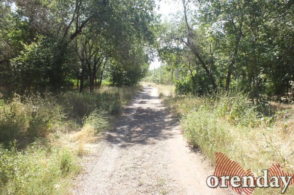 Администрация Оренбурга проиграла суд по парку имени 50-летия СССР Администрация Оренбурга проиграла суд по парку имени 50-летия СССР