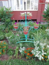 Оренбуржцы похвалились пенсионерами, которые меняют город Оренбуржцы похвалились пенсионерами, которые меняют город