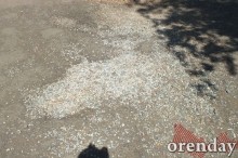 Администрация Оренбурга проиграла суд по парку имени 50-летия СССР Администрация Оренбурга проиграла суд по парку имени 50-летия СССР