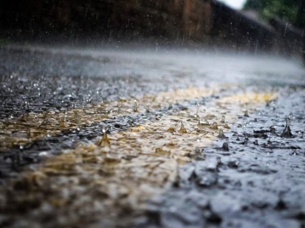 В Оренбурге в среду обещают дождь и до +20