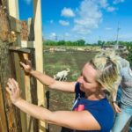 Приют для бездомных животных на 300 мест строится в Оренбурге