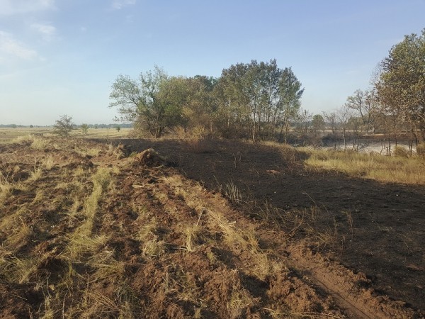 Из-за крупного лесного пожара в Ташлинском районе эвакуировали людей