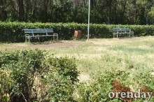 Администрация Оренбурга проиграла суд по парку имени 50-летия СССР Администрация Оренбурга проиграла суд по парку имени 50-летия СССР