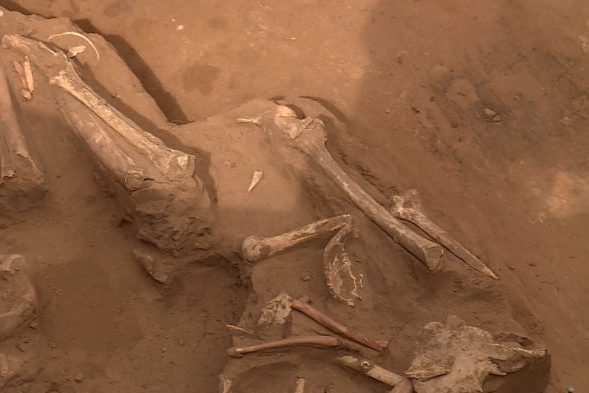 Оренбургские археологи раскопали захоронения, которым около 6000 лет