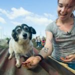 Приют для бездомных животных на 300 мест строится в Оренбурге