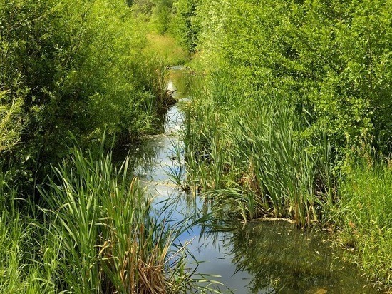 В Краснохолме испарилась река Черная