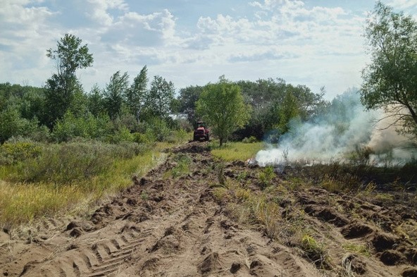 В&nbsp;Ташлинском районе из-за лесного пожара экстренно эвакуировали жителей двух сел