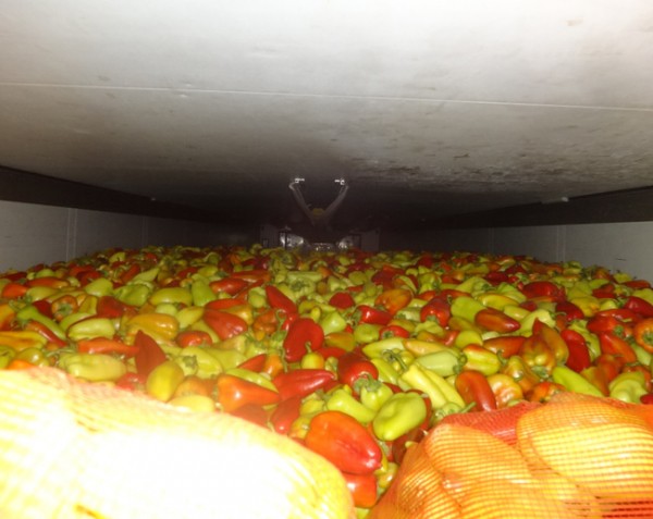 Через оренбургскую таможню пытались провезти 155 тонн нелегальной продукции