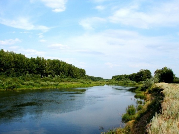 Двое жителей Оренбургской области утонули в реках
