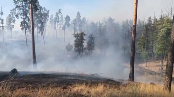 Самолет Минобороны РФ готов вылететь на тушение пожара в Оренбуржье в любую минуту