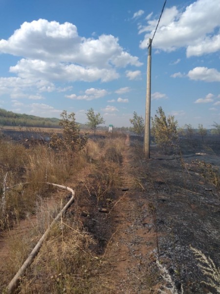 В Оренбурге в&nbsp;центре города горит кладбище