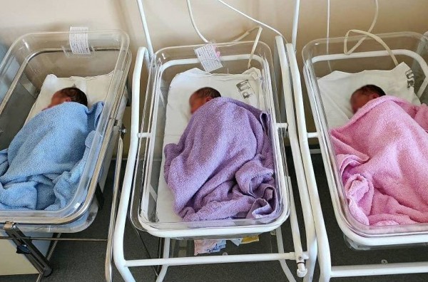 В Оренбургском областном перинатальном центре родилась тройня