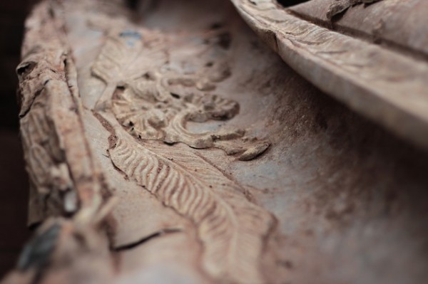 Под Самарой нашли захоронение оренбургского вице-губернатора