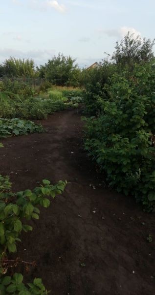 В Пономаревке по вине администрации люди живут на &laquo;пороховой бочке&raquo;