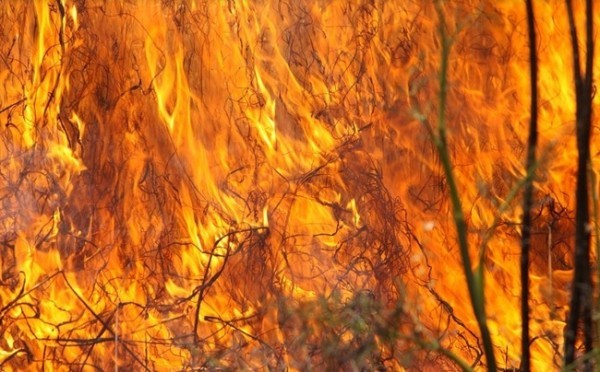 Где в Оренбуржье полыхали степи