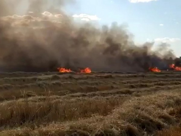 В поле возле &laquo;Нежинских садов&raquo; загорелся комбайн